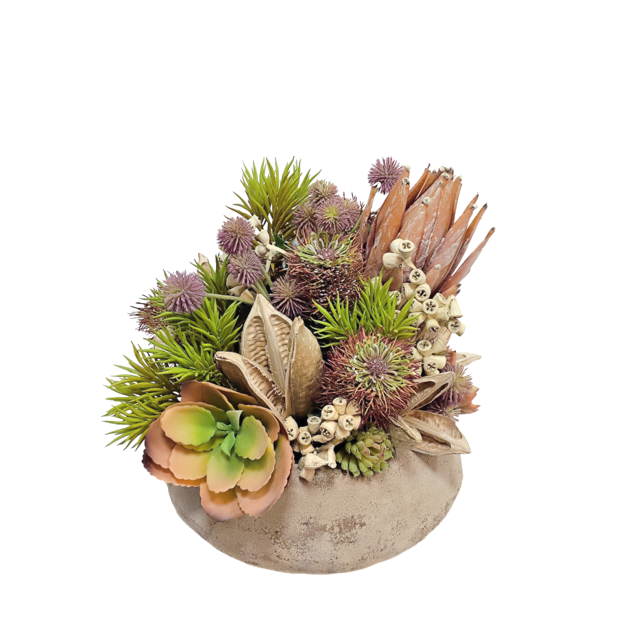 Protea, Aeonium Pick, Crassula, Senecio, Globe Thistle, Sora Pods, and Conical Gum Branches in Concrete Bowl 16"H x 19"Dia