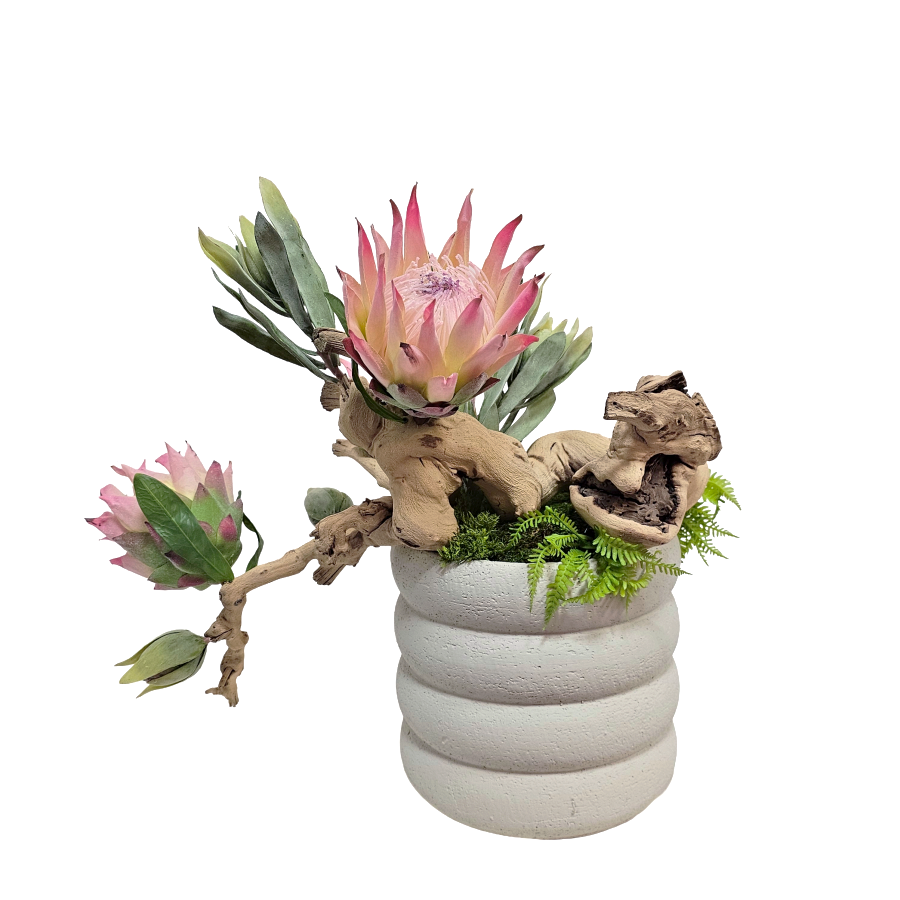 King Protea, Ghostwood, and Allium in Ribbed Ceramic 20"H x 23"W x 17"D