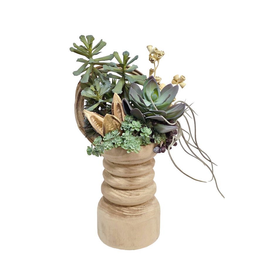 Mixed Succulents with Curly Vine and Conical Gum Branch in Wooden Pillar Container