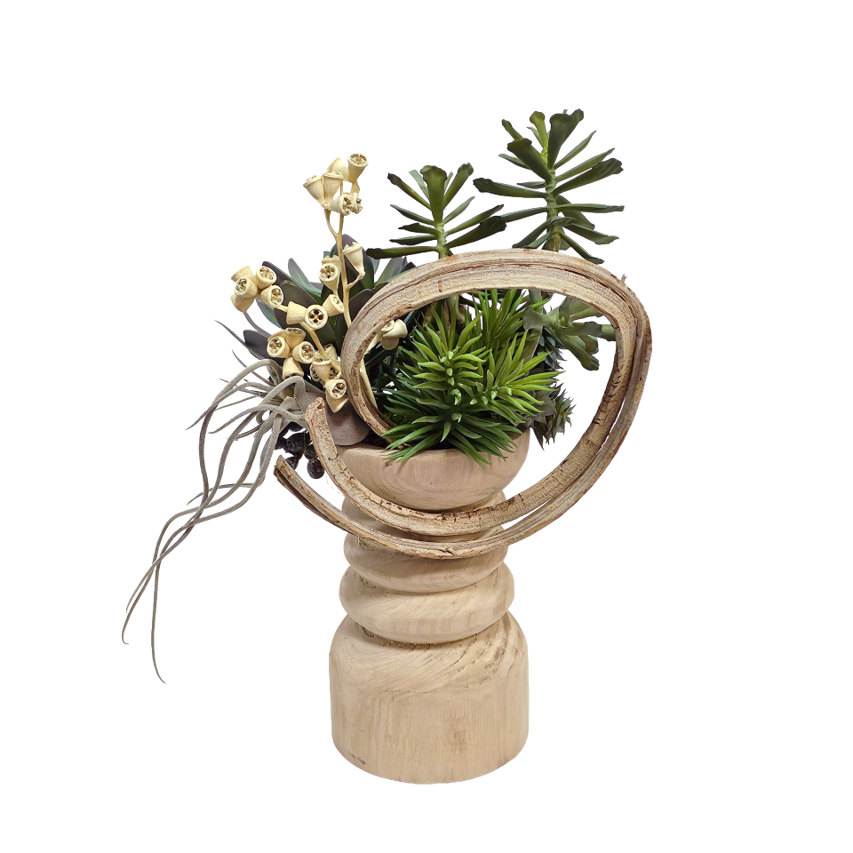 Mixed Succulents with Curly Vine and Conical Gum Branch in Wooden Pillar Container