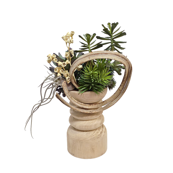 Mixed Succulents with Curly Vine and Conical Gum Branch in Wooden Pillar Container