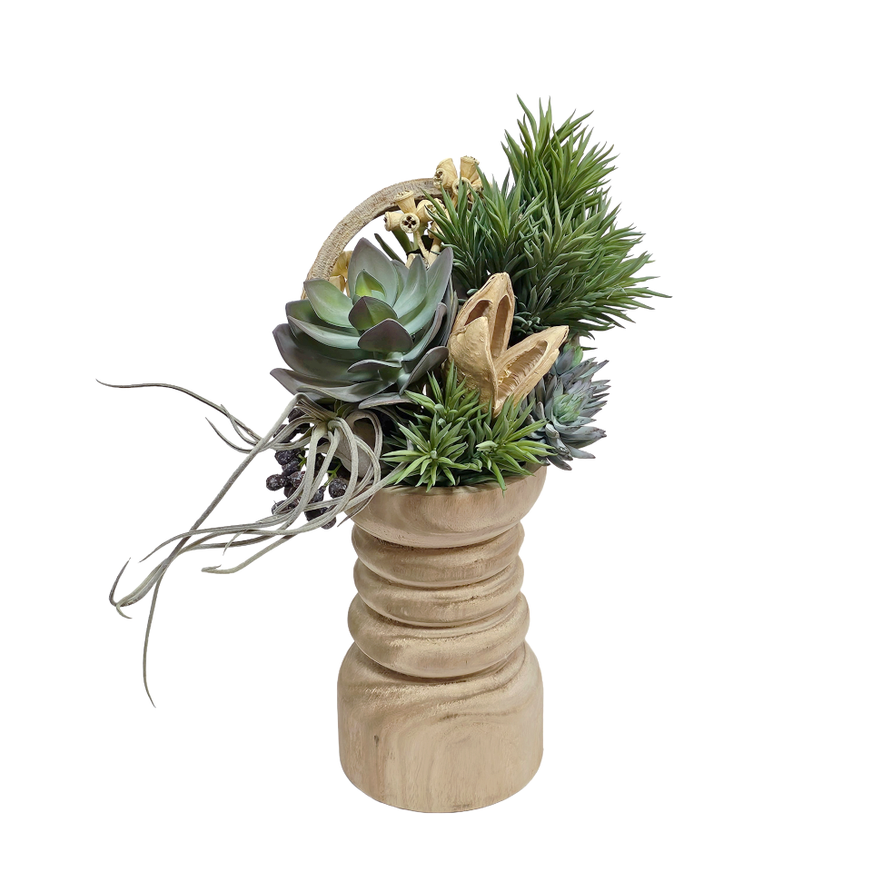 Mixed Succulents with Curly Vine and Conical Gum Branch in Wooden Pillar Container