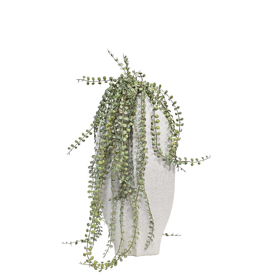 Button Fern Vine in Textured Ceramic 22"H x 12"W x 8"D