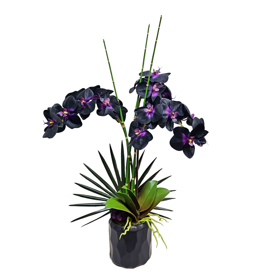Phalaenopsis Orchids, Orchid Leaf, Horsetail Reeds, and Fan Palm in Ceramic 32"H x 22"W x 16"D