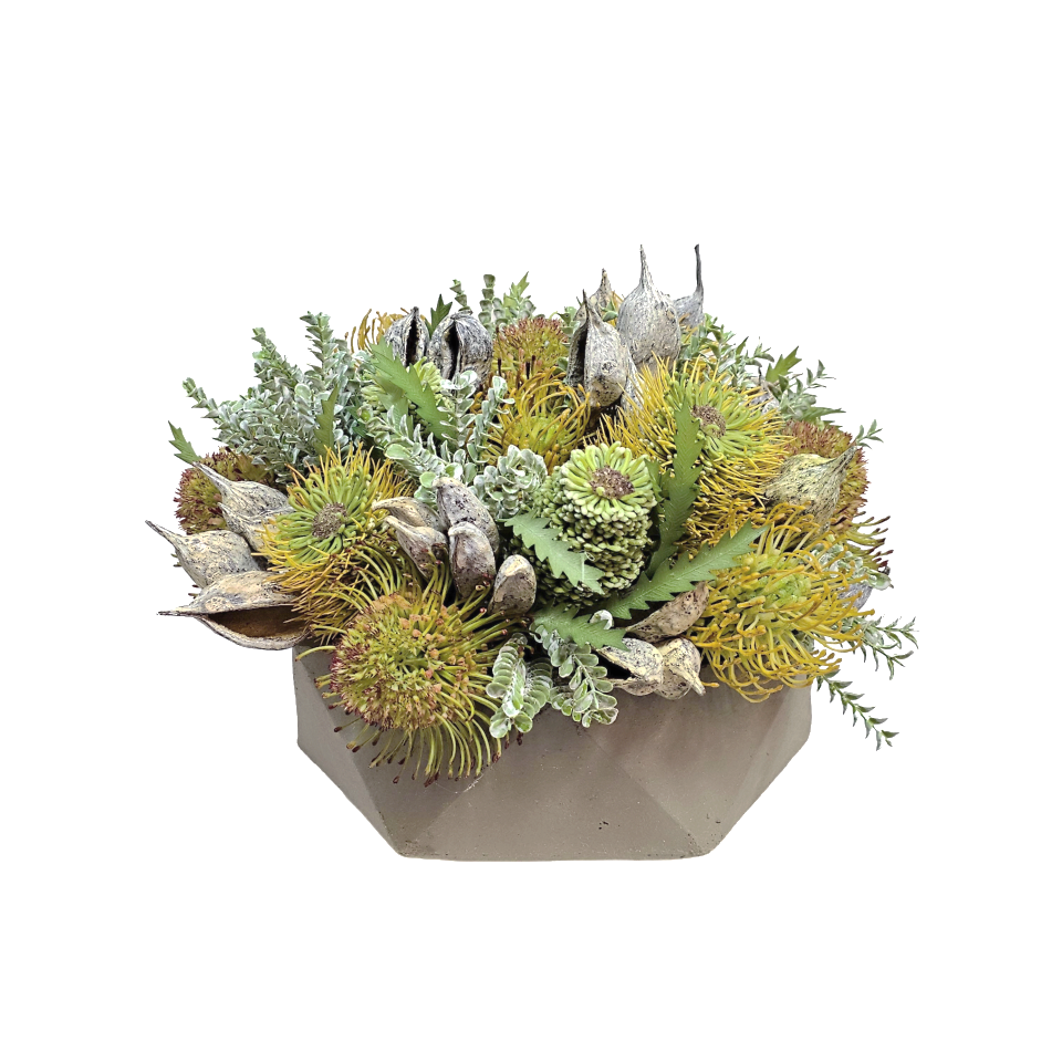 Protea with Club Moss and Dried Pods in Geometric Concrete 12"H x 16"DIA