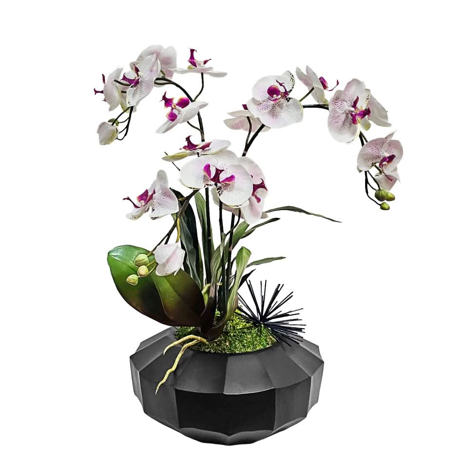Spotted Orchid with Metal Accent in Geometric Bowl 24"H x 20"DIA