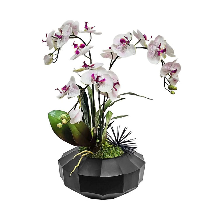 Spotted Orchid with Metal Accent in Geometric Bowl 24"H x 20"DIA