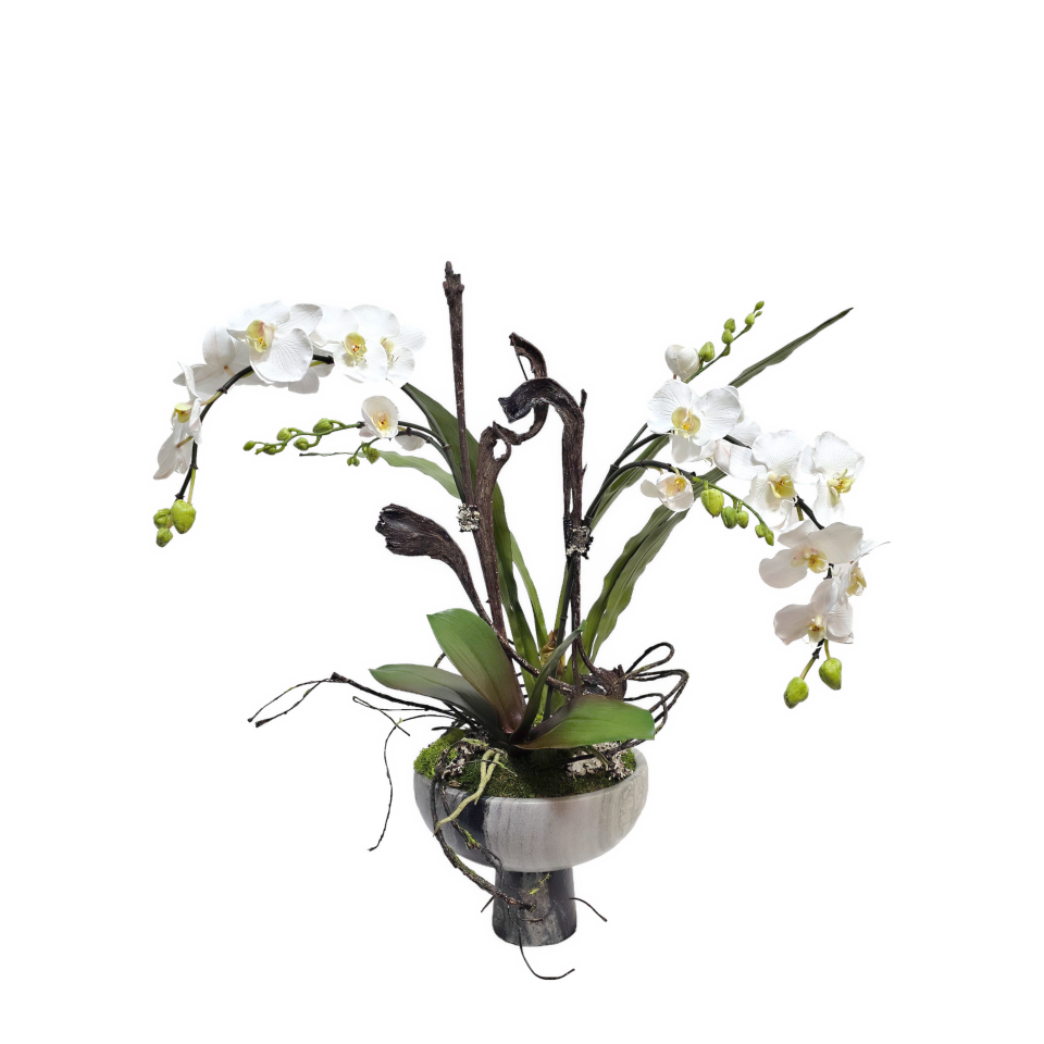 Orchids with Twig Vine, Phalaenopsis and Oncidium Leaves in Footed Bowl 29.5" H x 27"W x 22"D