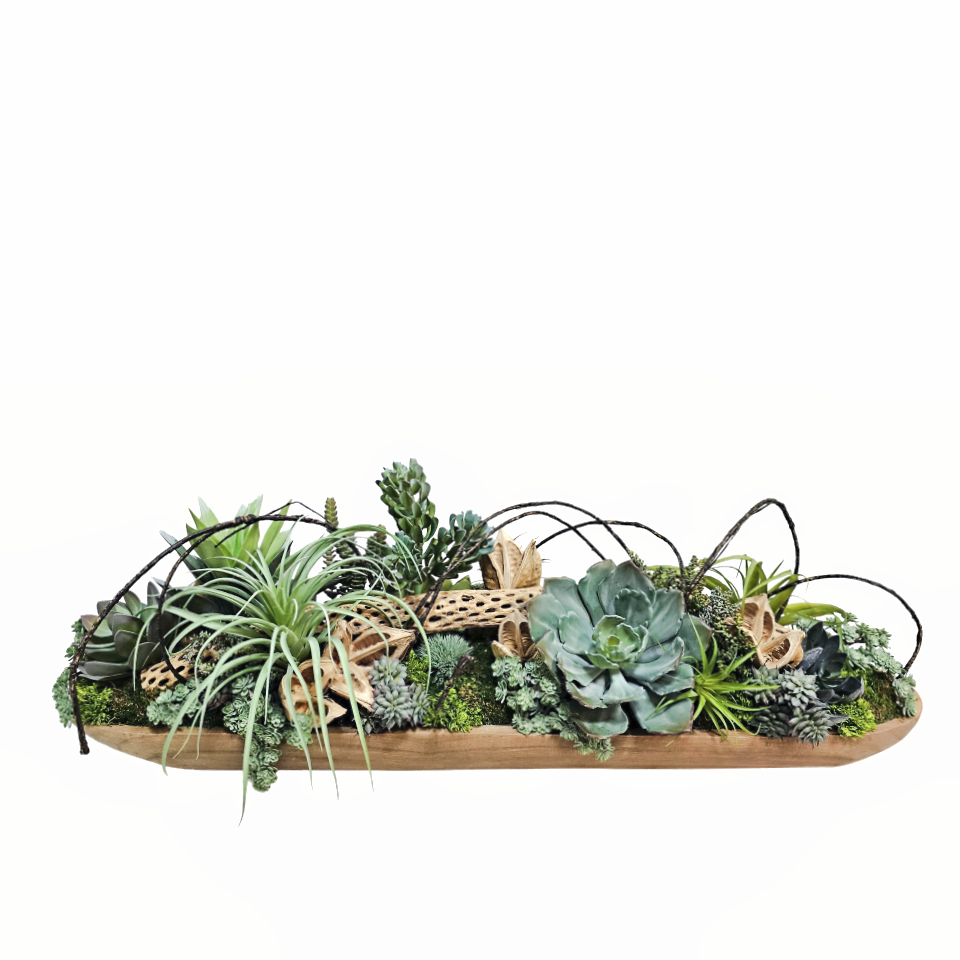 Succulents, Colla Wood, Vine and Sora Pods in Oval Wood 14"H X 40"W X 15"D