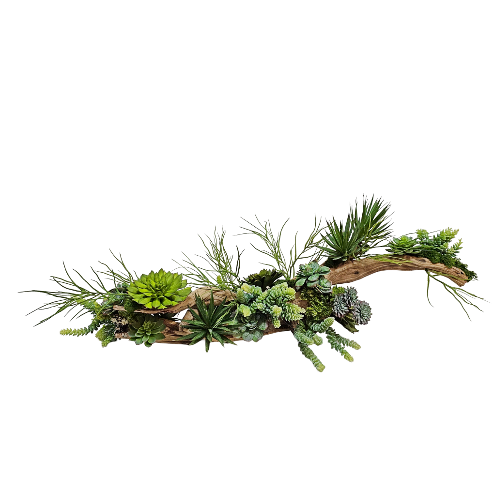 Mixed Succulents Hand Drilled onto Ghost wood 14.5"Hx41"Wx17"D