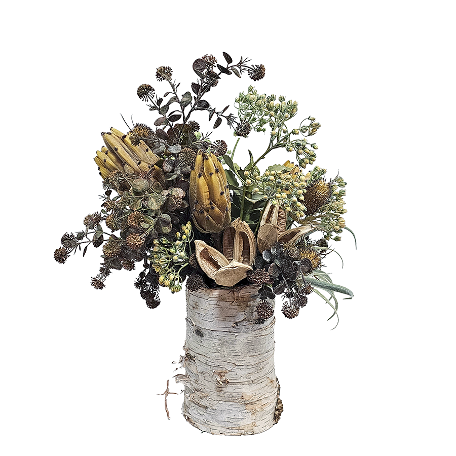 Protea, Thistle, Tillandsia and Berries in Natural Birch Vase  25"H X 18"W X 19"D