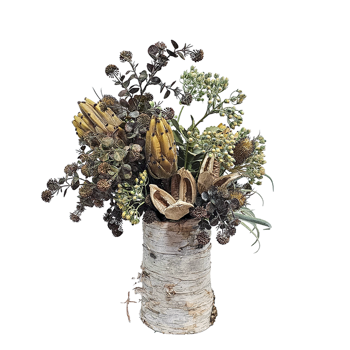 Protea, Thistle, Tillandsia and Berries in Natural Birch Vase  25"H X 18"W X 19"D