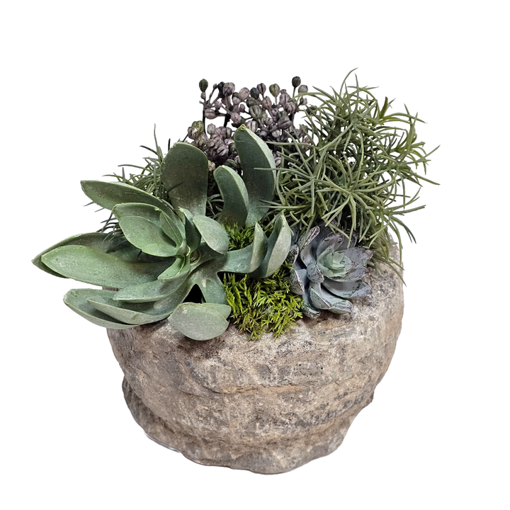Succulent, Berries and Moss in Carved Stone 7"H