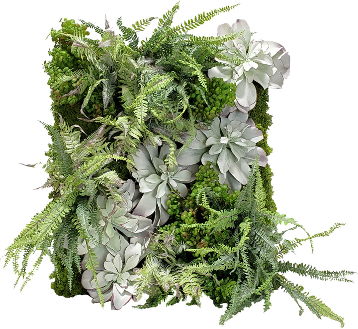 Organic Wall Art with Mixed Ferns, Succulents and Real Touch Moss 38"H