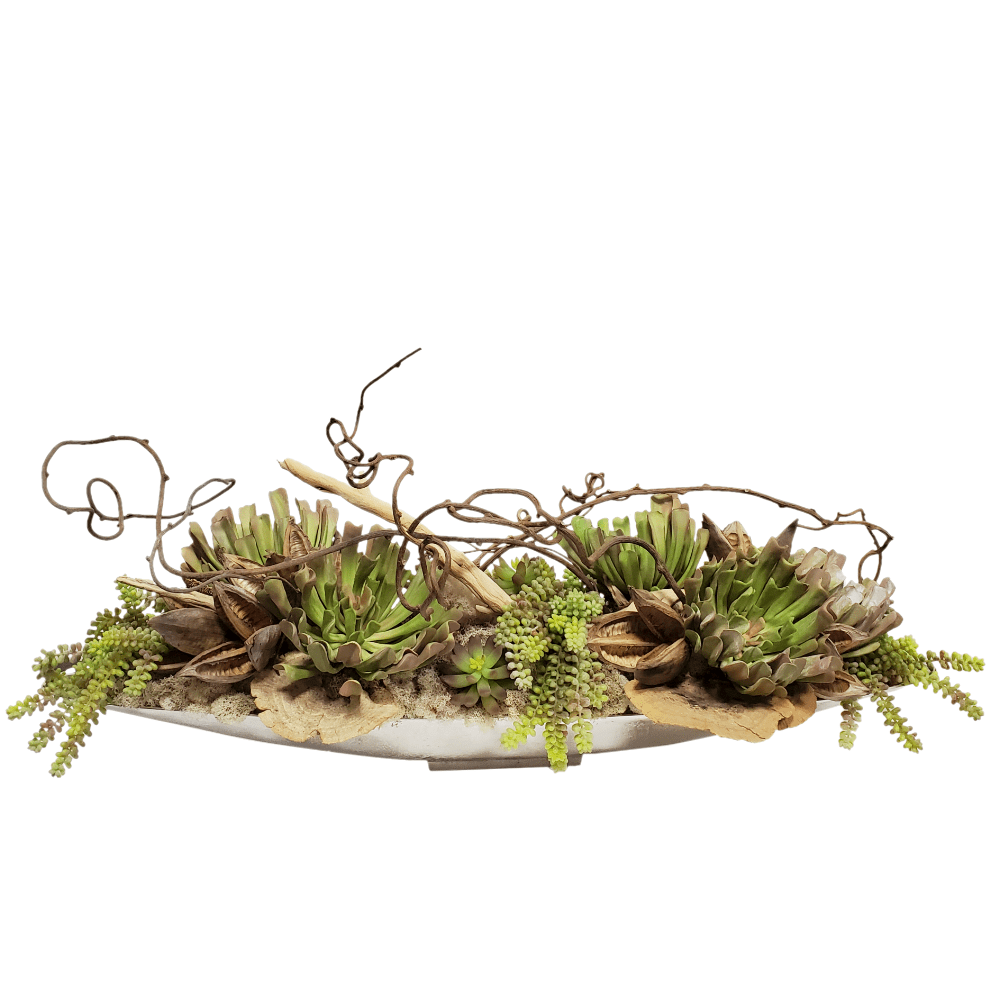 Aeonium with Donkey Tails, Succulents, Sora Pods, Mushrooms, Kiwi and Moss in Boat 20"H - LDF Silk