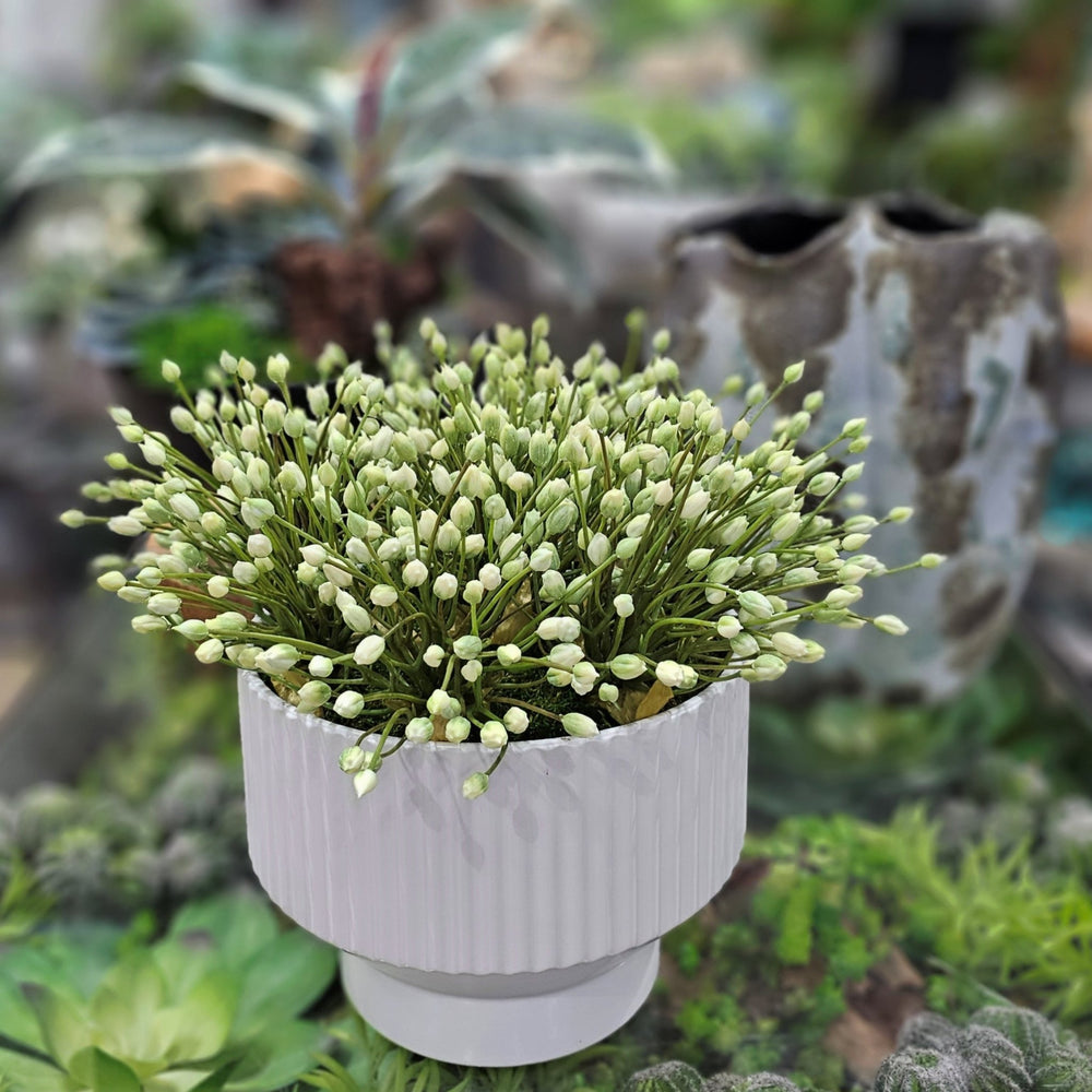 Agapanthus in Fluted Cermic Container. 13"H - LDF SilkArtificial Flora