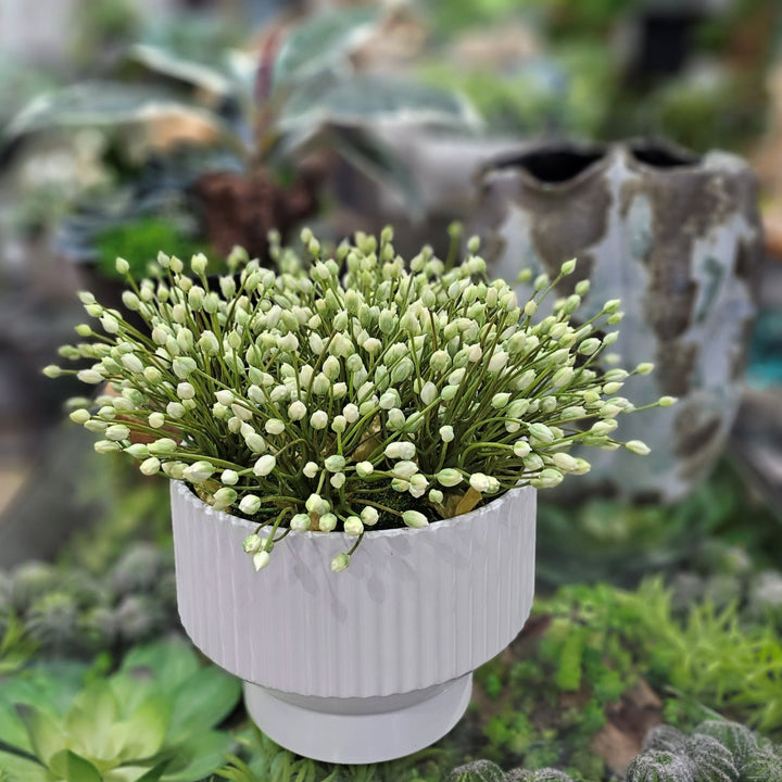 Agapanthus in Fluted Cermic Container. 13"H - LDF SilkArtificial Flora