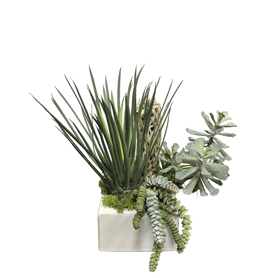 Agave and Mixed Succulents in Ceramic 14"H - LDF Silk