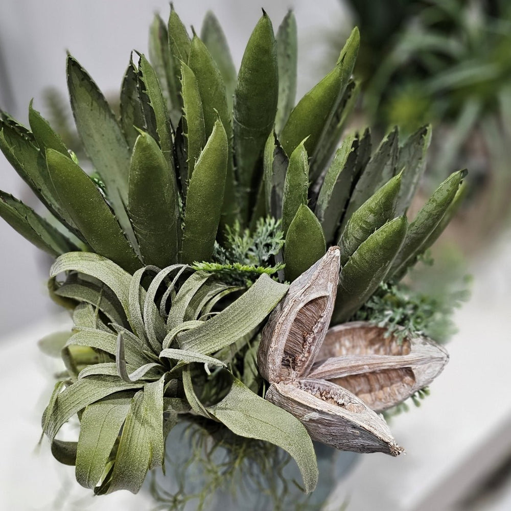 Agave, Cypress Bush, Tillandsia and Sora Pod in Ceramic Container 15"H - LDF Silk
