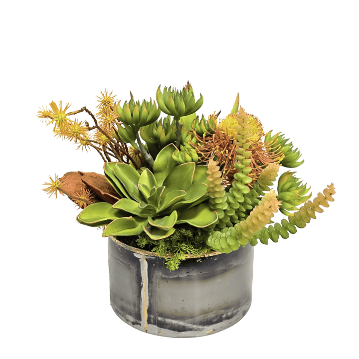 Agave, Protea and Dried Mushroom in Metal Bowl 10"H - LDF Silk