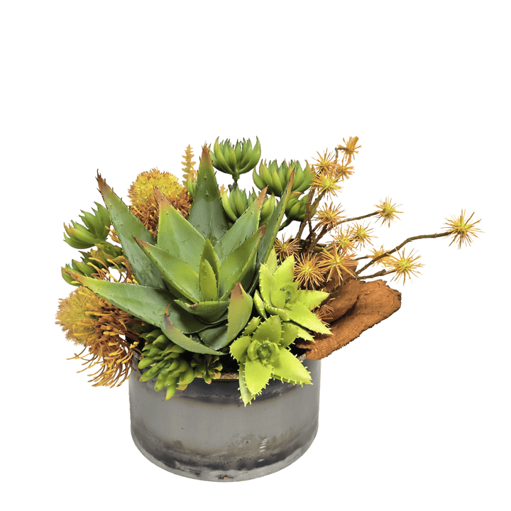 Agave, Protea and Dried Mushroom in Metal Bowl 10"H - LDF Silk