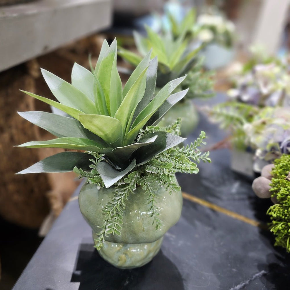 Agave with Clubmoss in Glazed Vase 14"H - LDF Silk