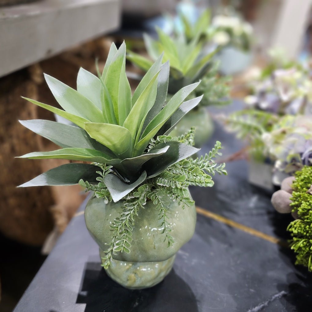 Agave with Clubmoss in Glazed Vase 14"H - LDF Silk