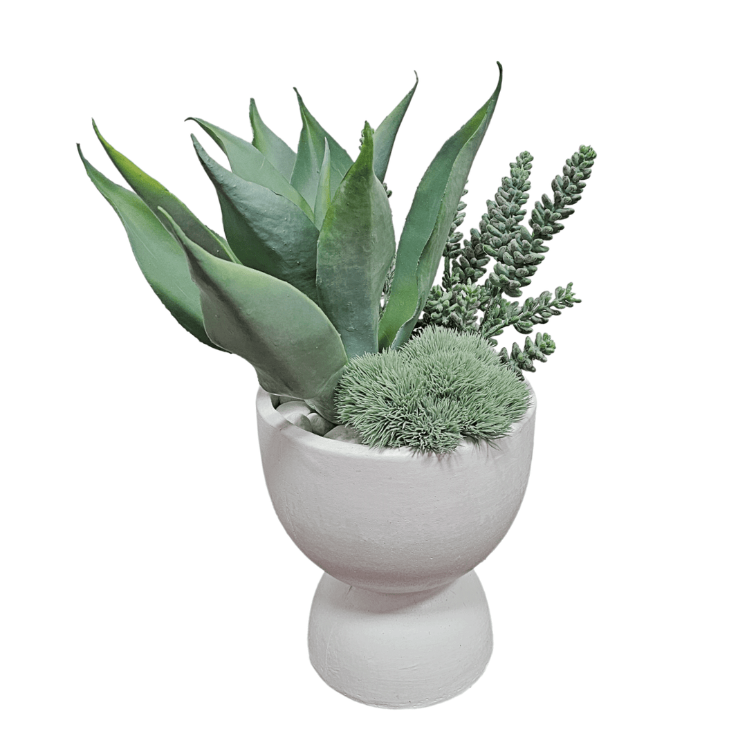 Agave with Donkey Tails in Terra Cotta Container. FH: 20"H - LDF Silk