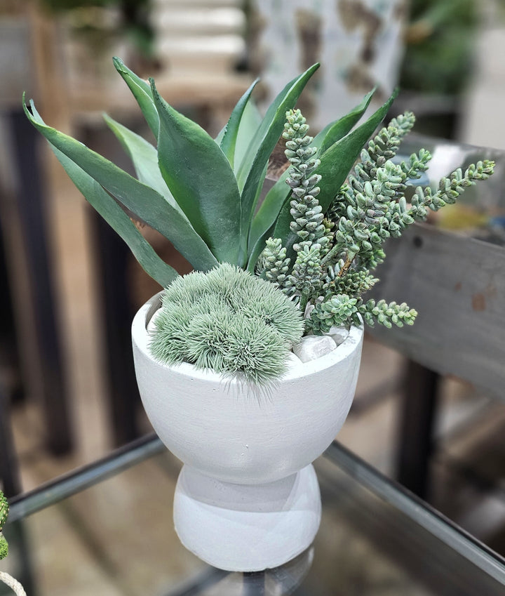 Agave with Donkey Tails in Terra Cotta Container. FH: 20"H - LDF Silk