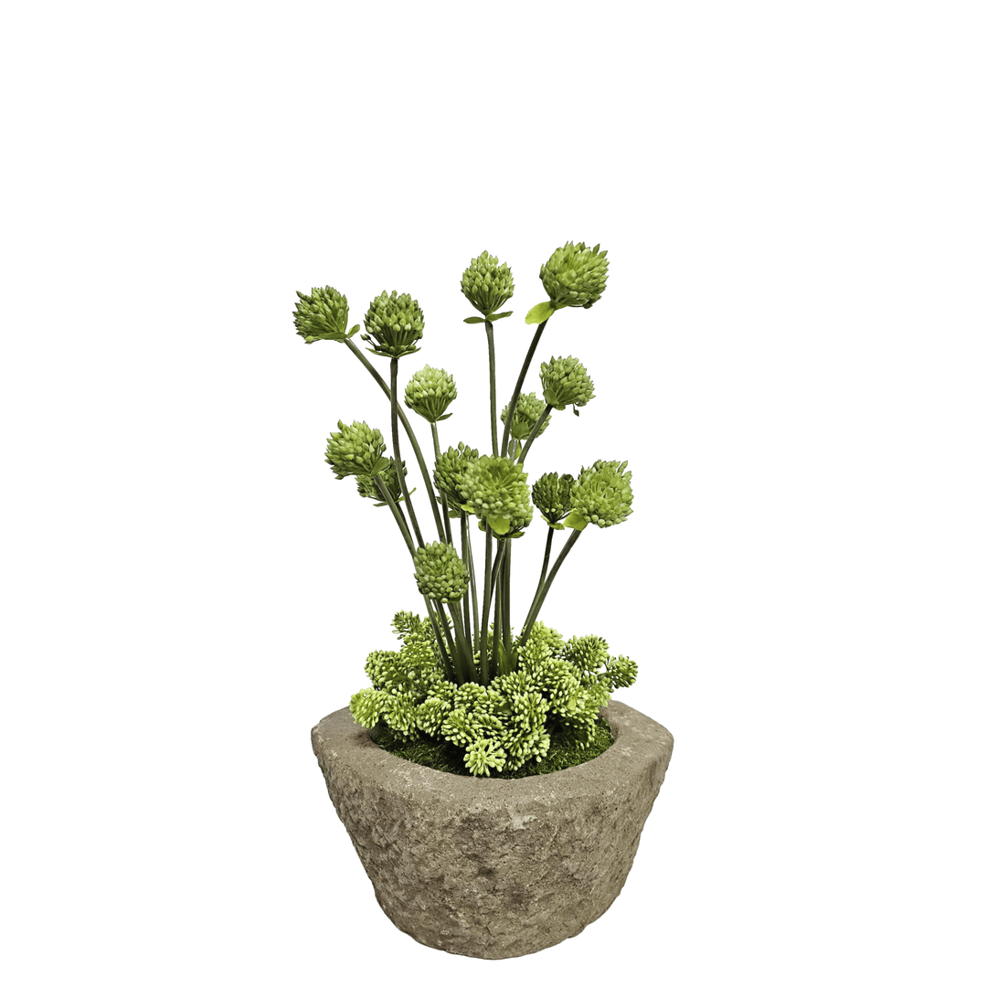 Allium and Sedum in Natural Stone Bowl 19"H - LDF Silk