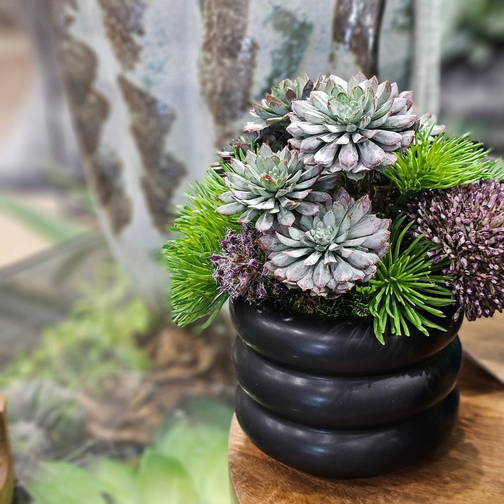Allium with Succulents and Grass in Black Ceramic. FH: 7"H - LDF SilkArtificial Flora