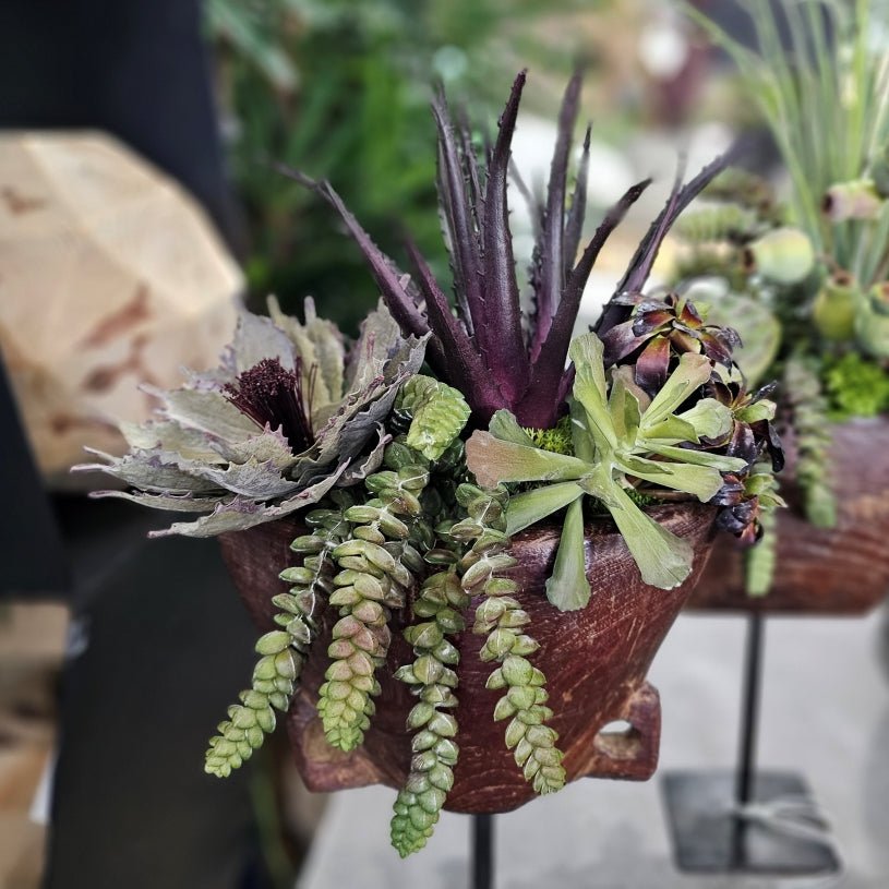 Aloe, Agave and Burro's Tail in Antique Wood Cow Bell on Stand 18"H - LDF Silk