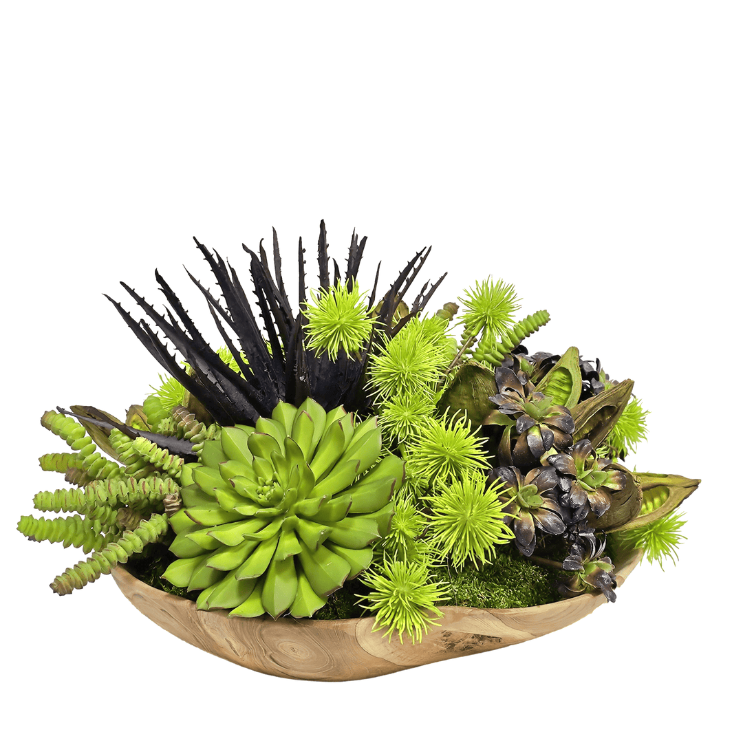 Aloe and Succulents in Live Edge Bowl 11"H - LDF Silk