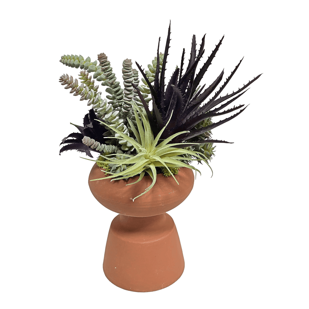 Aloe and Succulents in Terra Cotta Vase 15"H - LDF Silk