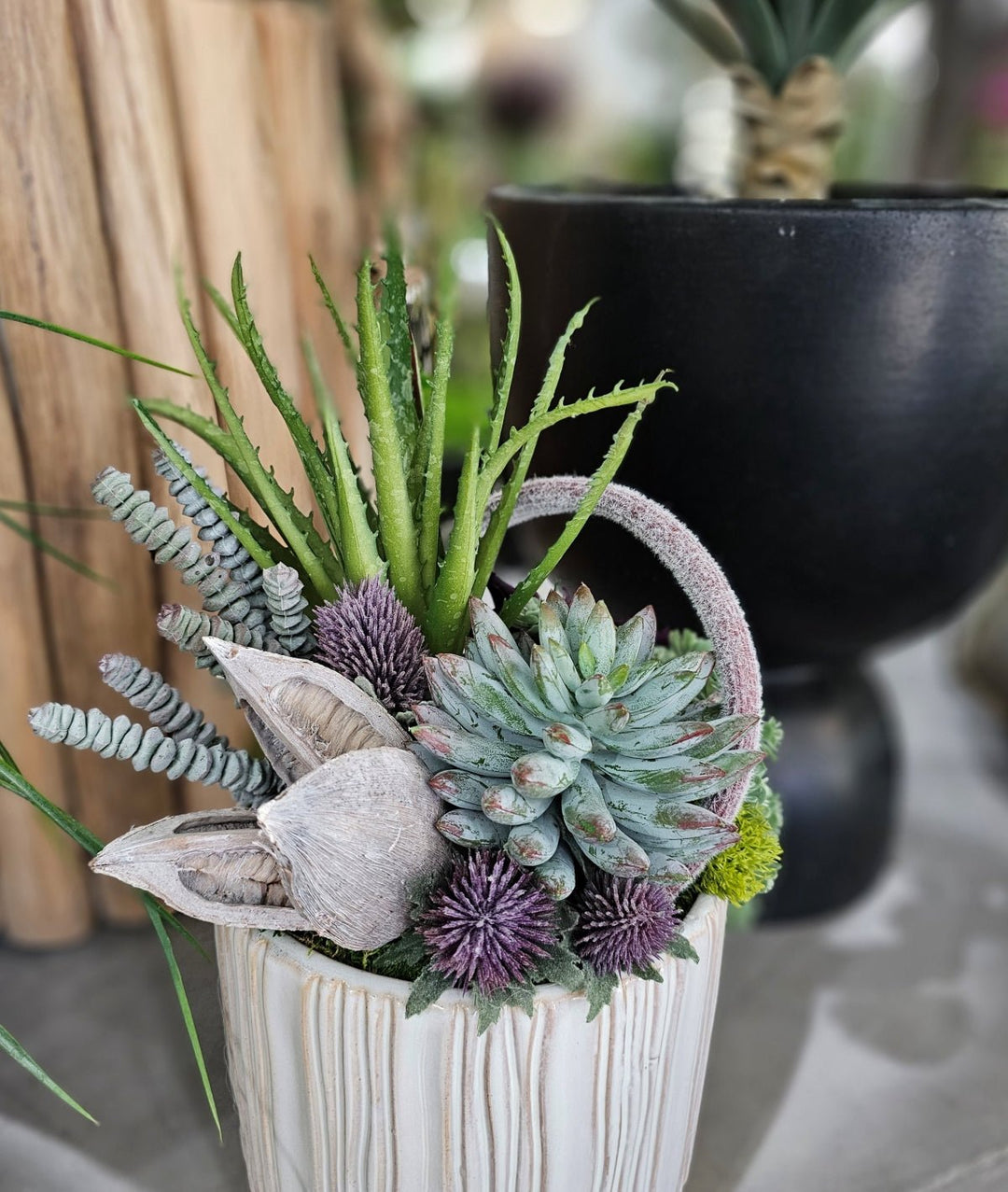 Aloe, Donkey Tail, Sora Pod and Succulents in Ceramic FH: 13.5" - LDF Silk