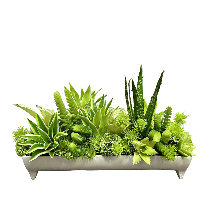 Aloe, Dracaena, Donkey Tail and Sansevieria in Metal Container 12"H - LDF Silk