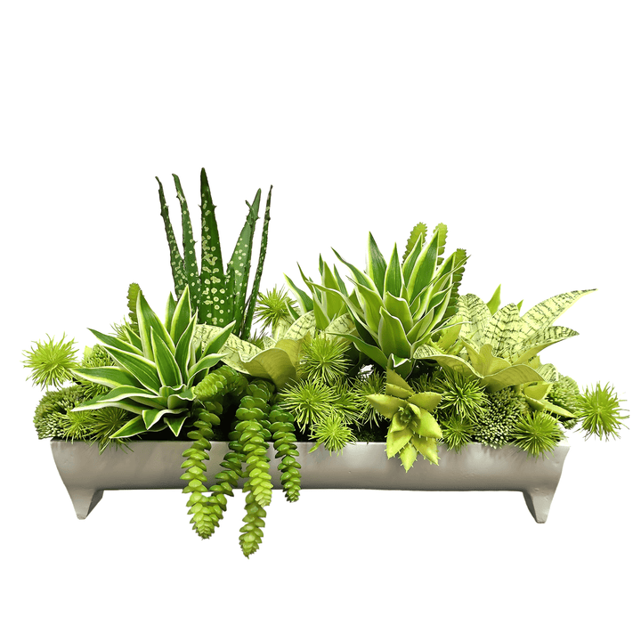 Aloe, Dracaena, Donkey Tail and Sansevieria in Metal Container 12"H - LDF Silk