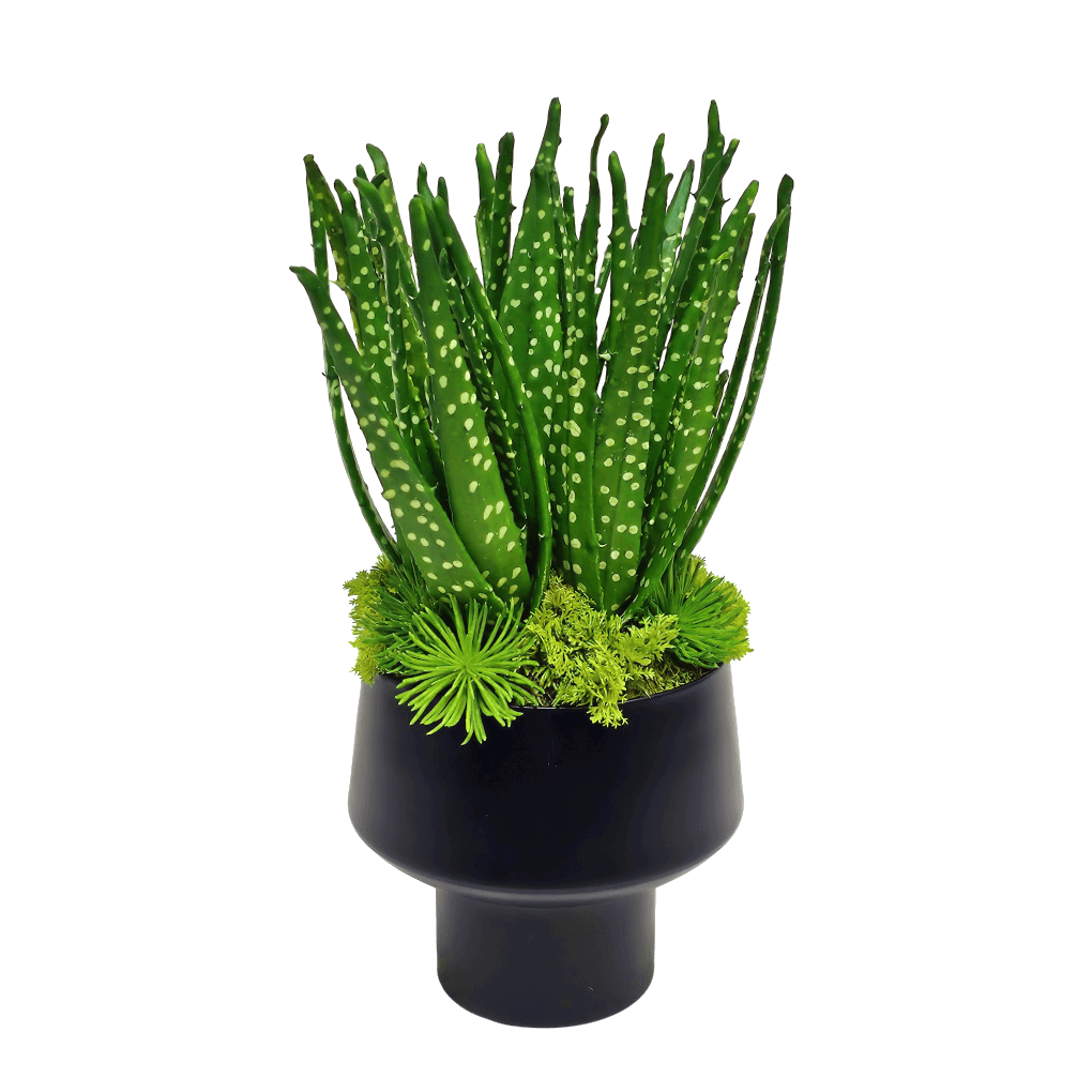 Aloe in Black Metal 15"H - LDF Silk