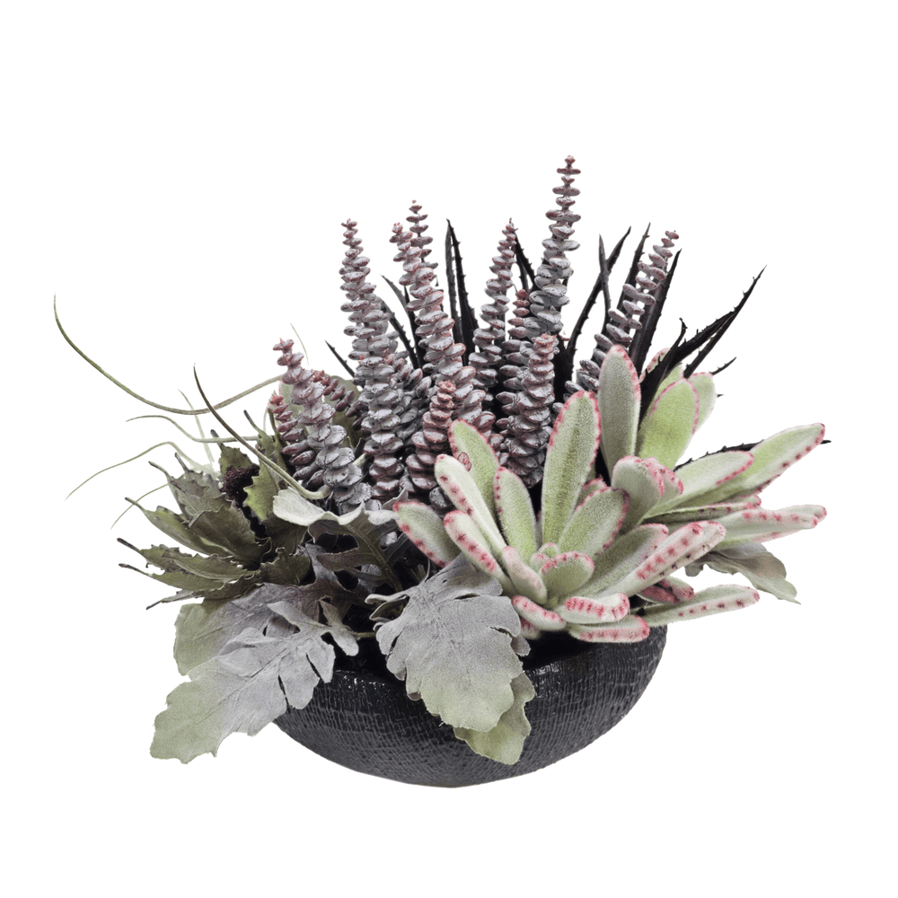 Aloe, Panda Succulent, Tillandsia and Dusty Miller in Ceramic Bowl 13"H - LDF Silk