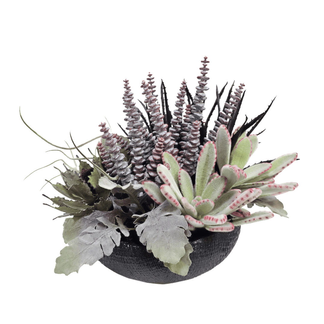Aloe, Panda Succulent, Tillandsia and Dusty Miller in Ceramic Bowl 13"H - LDF Silk