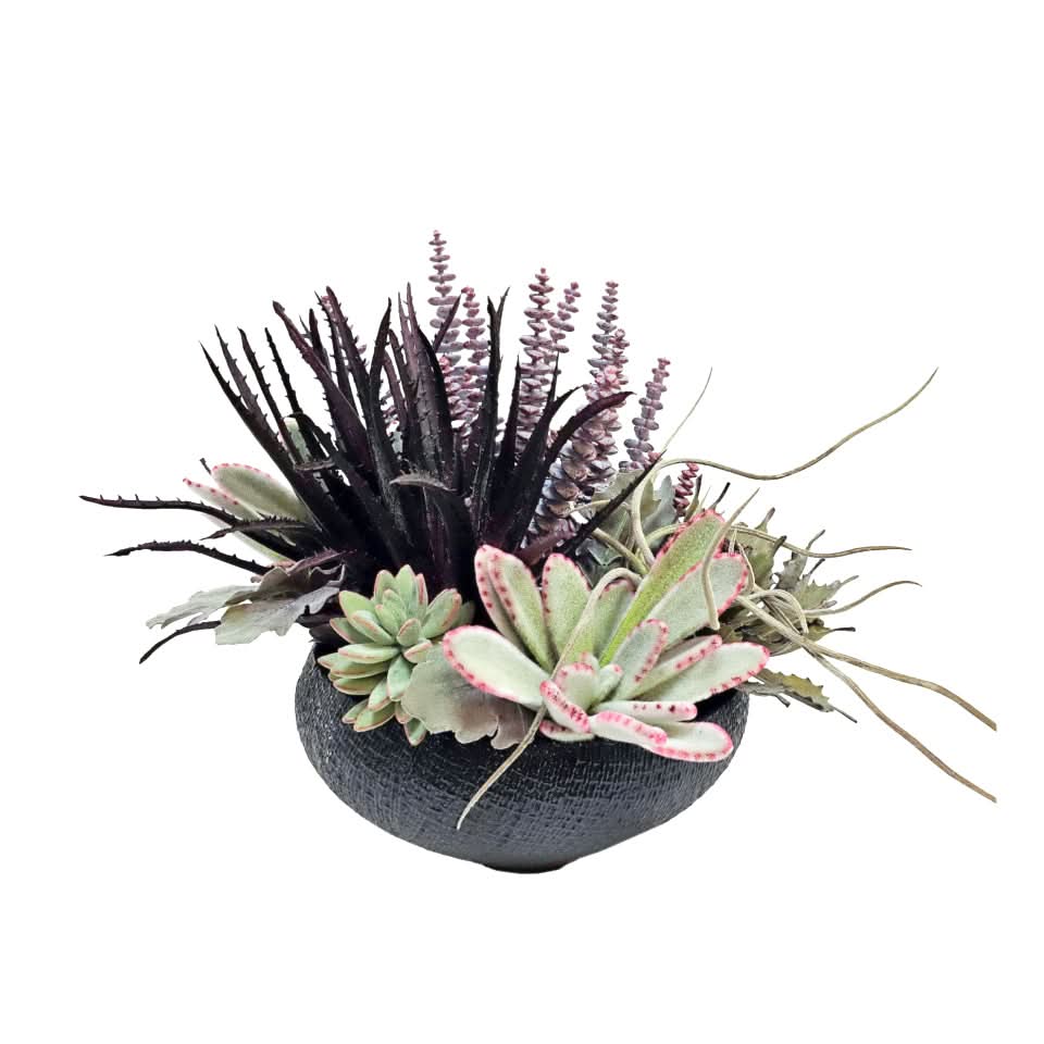 Aloe, Panda Succulent, Tillandsia and Dusty Miller in Ceramic Bowl 13"H - LDF Silk
