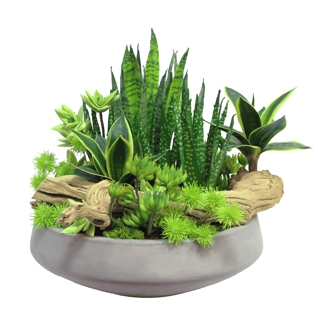 Aloe, Sansevieria, Succulents, Thistle and Driftwood in Concrete Bowl 14"H - LDF Silk