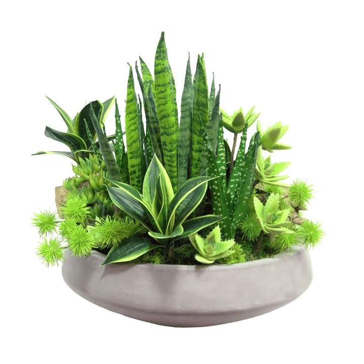 Aloe, Sansevieria, Succulents, Thistle and Driftwood in Concrete Bowl 14"H - LDF Silk