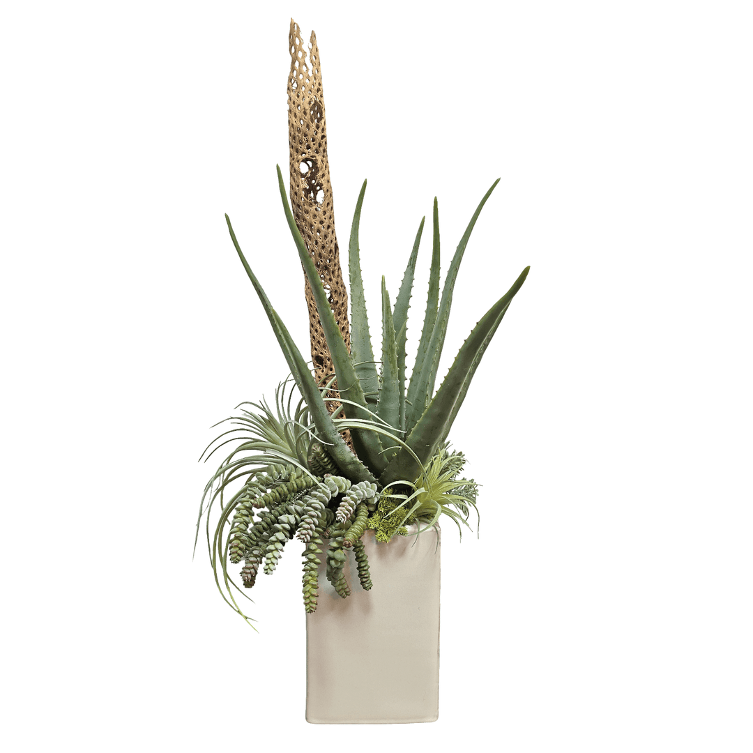 Aloe, Tillandsia, and Cholla Wood in Ceramic 32.5"H - LDF Silk