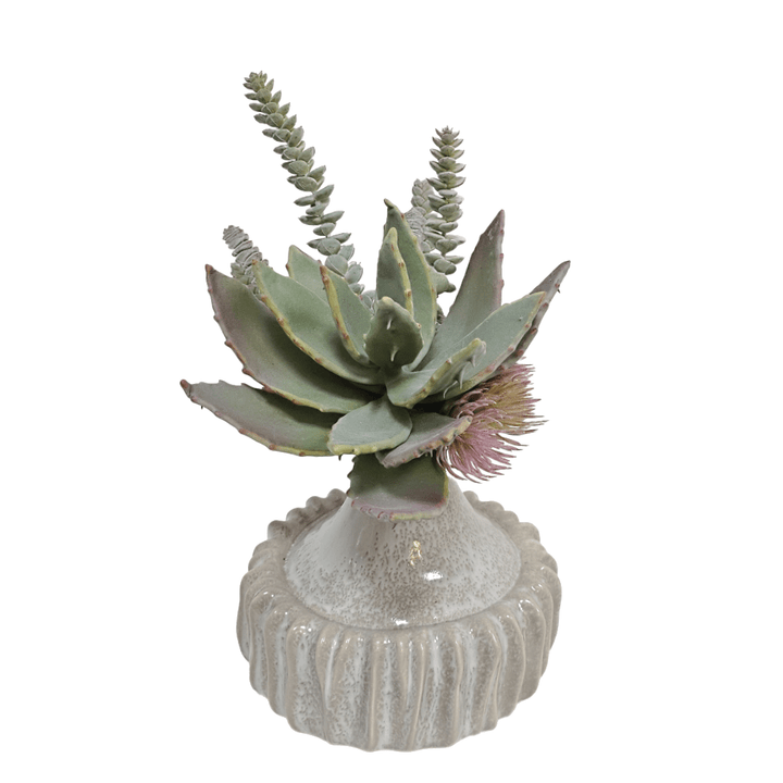 Aloe with Burro's Tail in Glazed Ceramic Vase 13"H - LDF Silk