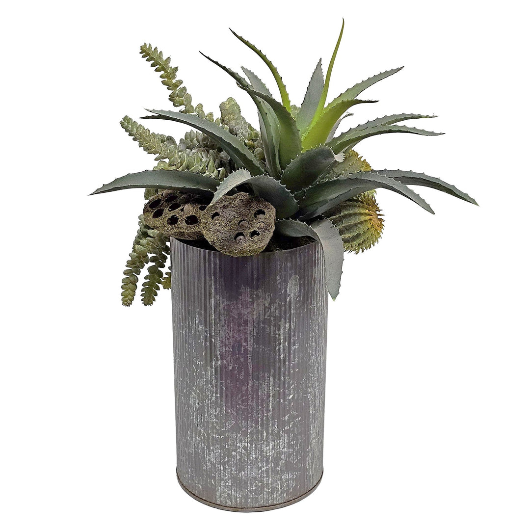 Aloe with Donkey Tail and Cactus in Metal Container. FH: 19"H - LDF SilkArtificial Flora