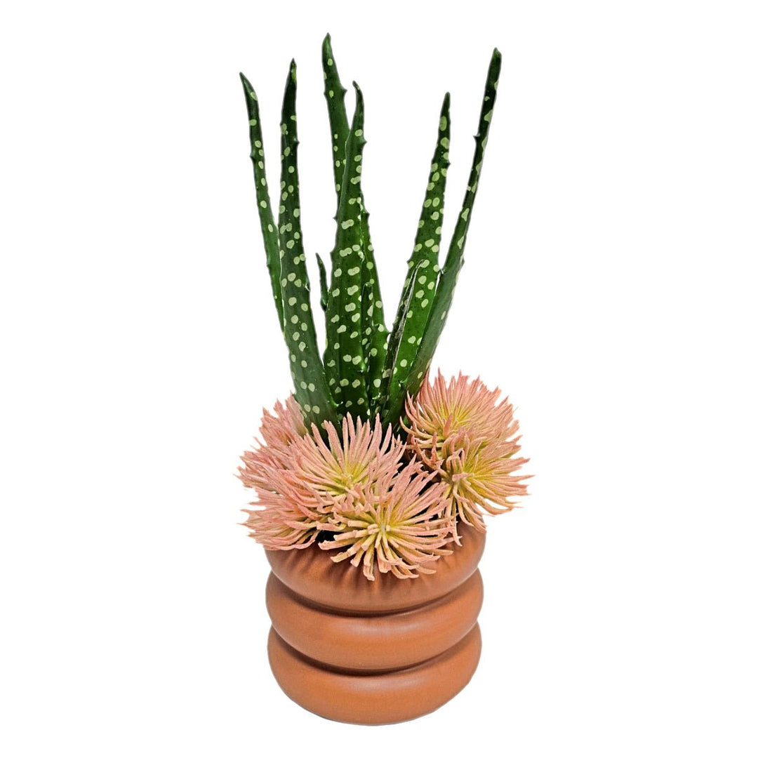 Aloe with Peach Succulents in Terra Cotta Ceramic 12"H - LDF Silk