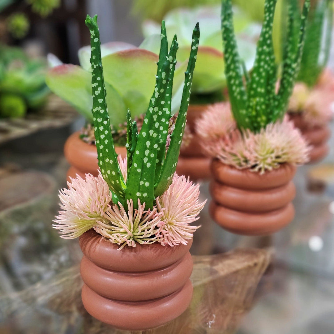 Aloe with Peach Succulents in Terra Cotta Ceramic 12"H - LDF Silk