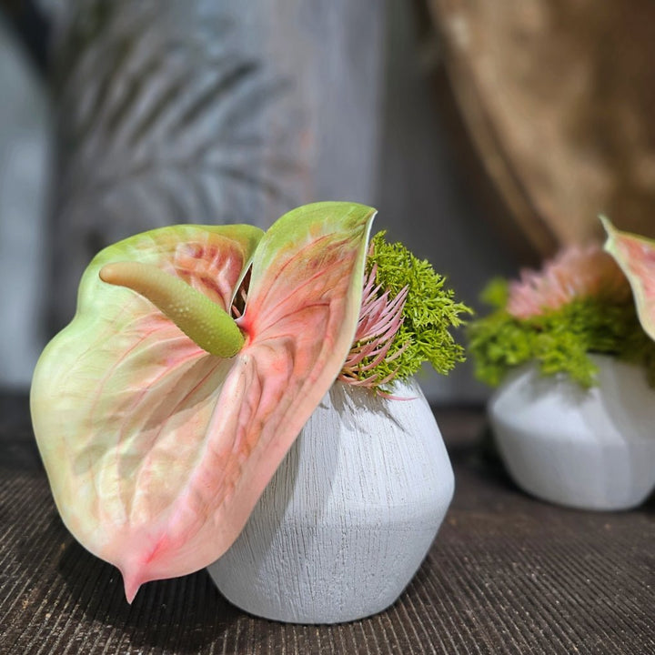 Anthurium in Textured Ceramic. FH: 6" - LDF SilkArtificial Flora