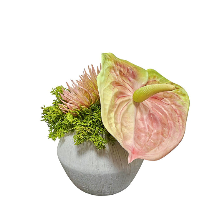 Anthurium in Textured Ceramic. FH: 6" - LDF SilkArtificial Flora